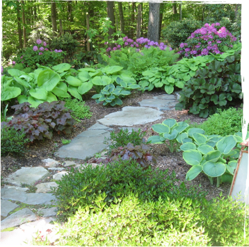 Natural stone path into a wooded area with ground cover and trees