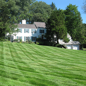 Immaculate lawn freshly landscaped with large white house in the background