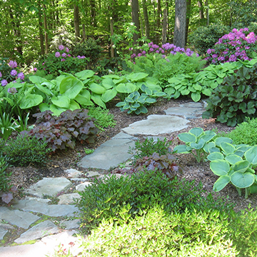 Field stone path leading into a variety of plants and flowers in a wooded area.