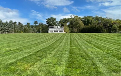 Thinking About Changing Your Landscaping Service? How to Choose the Right Landscaping Partner