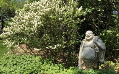 Designing Outdoor Spaces for All Four Seasons Beautifully