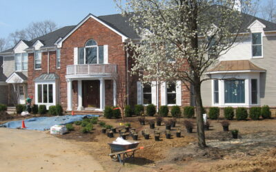 What To Expect During a Landscape Design and Install Process