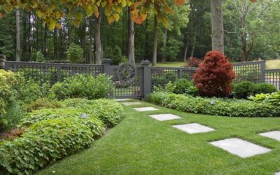 September 2025 Newsletter: Let’s Get Your Yard Cozy and Ready for Winter