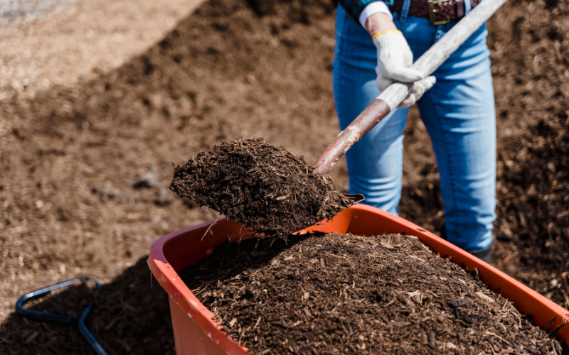 November Mulching Done Right: Prep Your Beds for Winter
