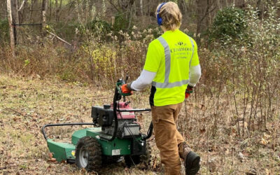 November 2025 Newsletter: Transform Your Landscape This Winter!