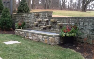 Cold Weather Container Gardens That Make an Impact All Winter