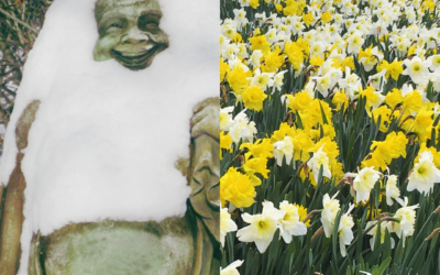 How Winter Design Planning Can Elevate Your Outdoor Living Spaces by Spring