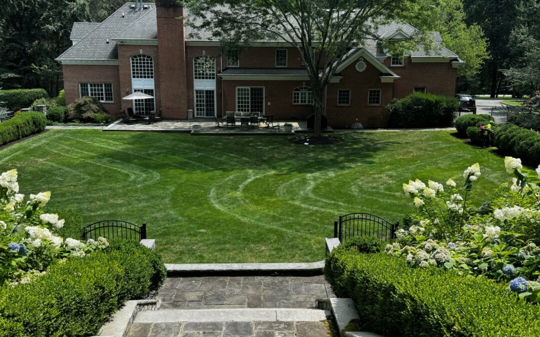 The Real Cost of Ignoring Invasive Plants on Your Property