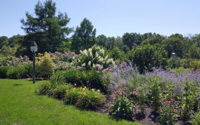 Creating Wildlife-Friendly Landscapes in New Jersey