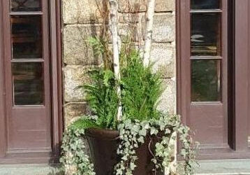 December 2025 Newsletter: Take Back Your Property This Winter