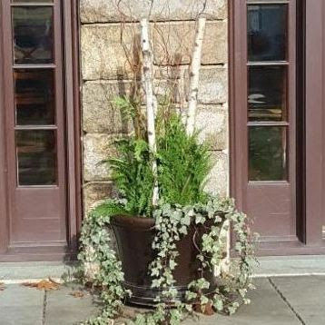 December 2025 Newsletter: Take Back Your Property This Winter