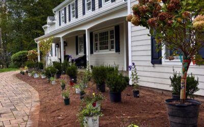 February 2026 Newsletter: Plan for a refined, beautifully managed landscape!