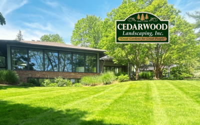 Why Consistent Lawn Care Is the Key to a Healthy Lawn in 2026