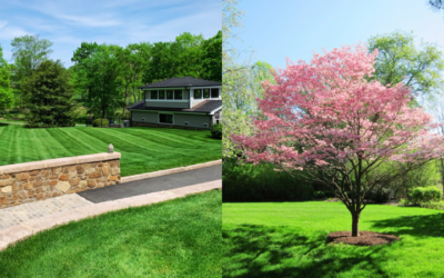 April 2026 Newsletter: There’s Still Time To Plan for a Beautiful Season!