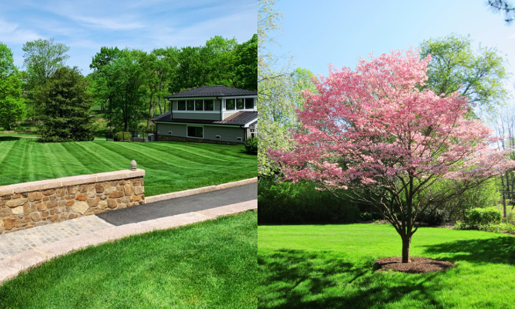 April 2026 Newsletter: There’s Still Time To Plan for a Beautiful Season!