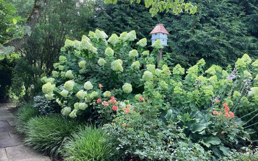 June 2026 Newsletter: What Kind of Legacy Will Your Landscape Leave? 🌼