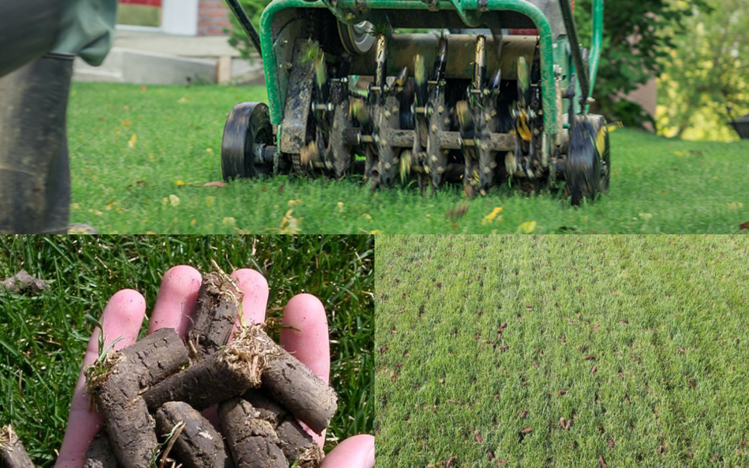 August 2026 Newsletter: A Healthier Lawn Starts Below the Surface